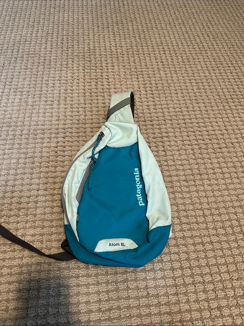 Patagonia Teal and Off-White Atom 8L Sling Bag
